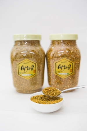 꿀속의 향연,종합화분